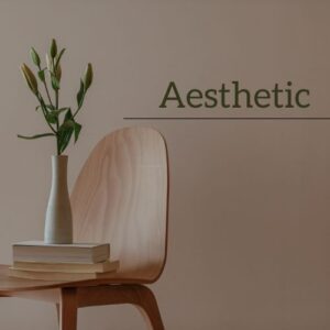 rachael ray home furniture Aesthetic