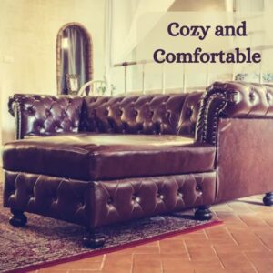 cozy and comfortable space
