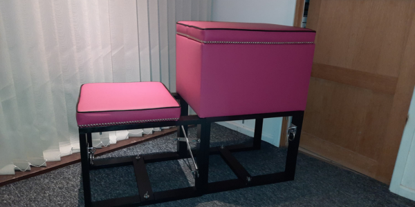 Secret Spanking bench